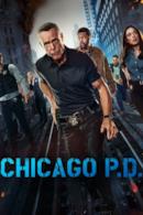 Poster Chicago P.D.