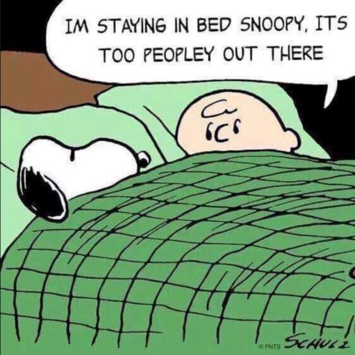 Peanuts Una striscia di un fumetto dei Peanuts