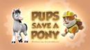 Anteprima I cuccioli salvano un pony