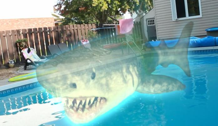 Ouija Shark: quando evochi gli spiriti degli squali assassini Una scena del film Ouija Shark