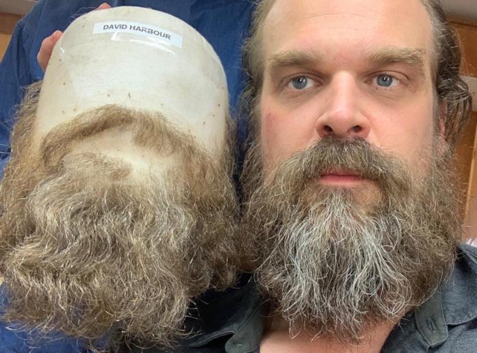 David Harbour nel 2019 David Harbour con baffi e barba finti