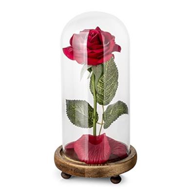 Kit di Rose La Bella e la Bestia