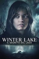 Poster Winter Lake - Il segreto del lago