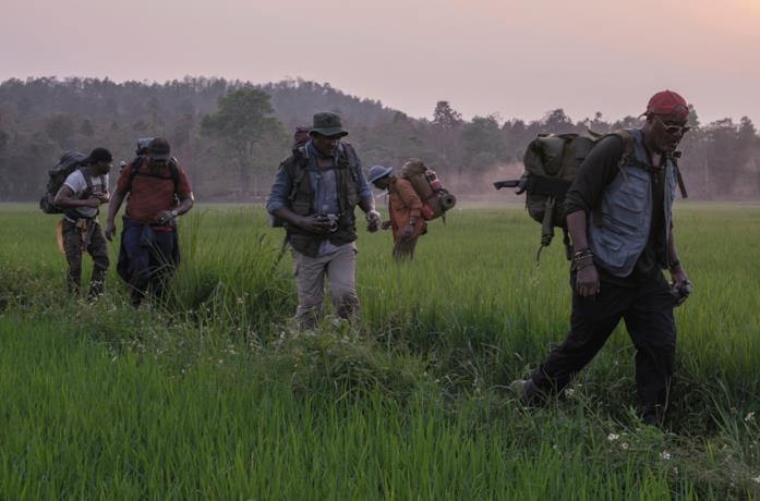 I quattro veterani attraversano un campo di riso