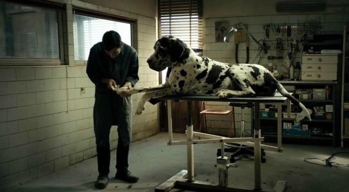 Una scena del film Dogman