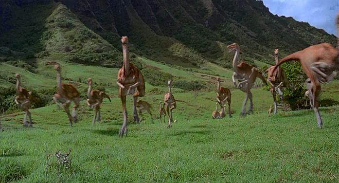 I Gallimimus in fuga in Jurassic Park I Gallimimus torneranno in Dominion