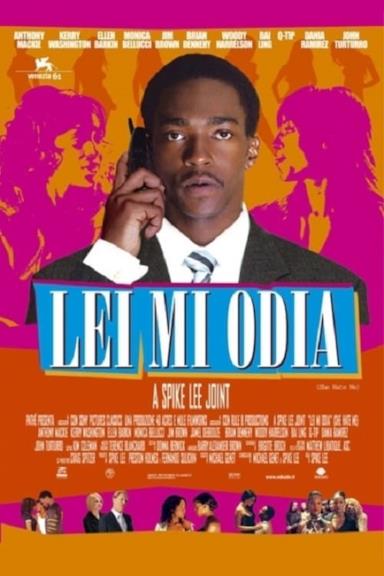 Poster Lei mi odia