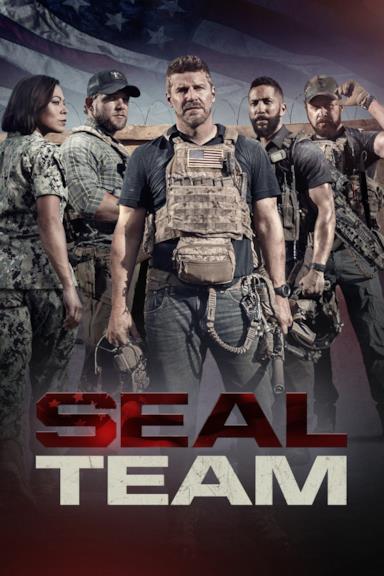Poster SEAL Team