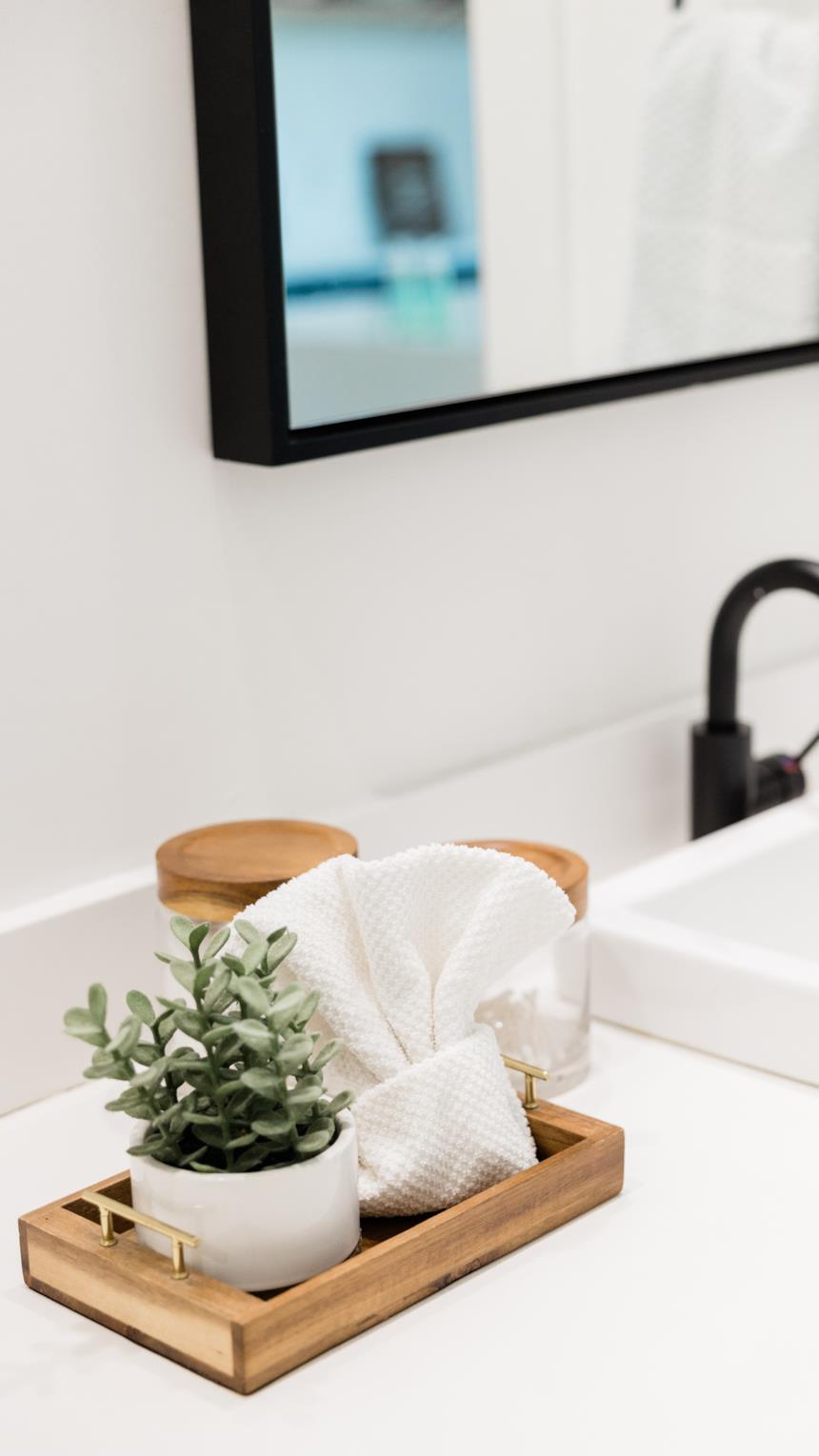 Pianta in bagno decorativa 