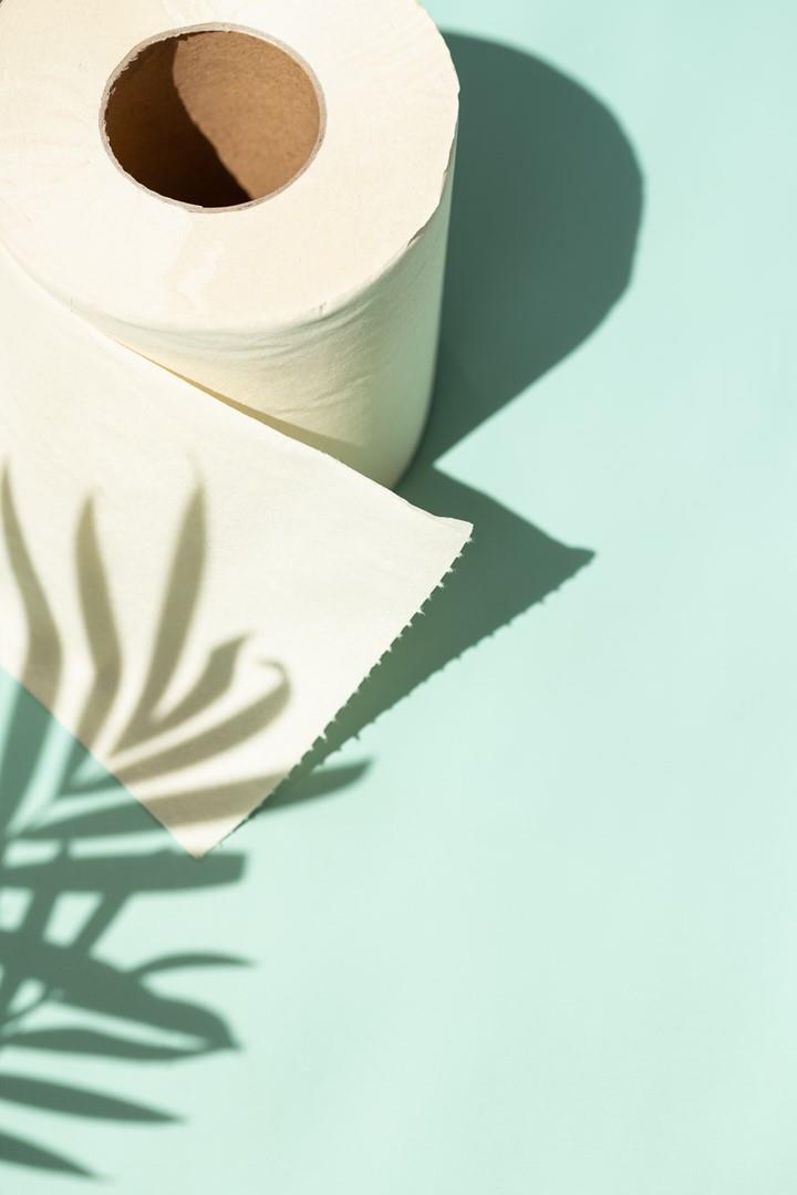 Carta igienica ecologica e biodegradabile