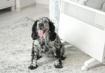 Differenza tra termoconvettori e ventilconvettori