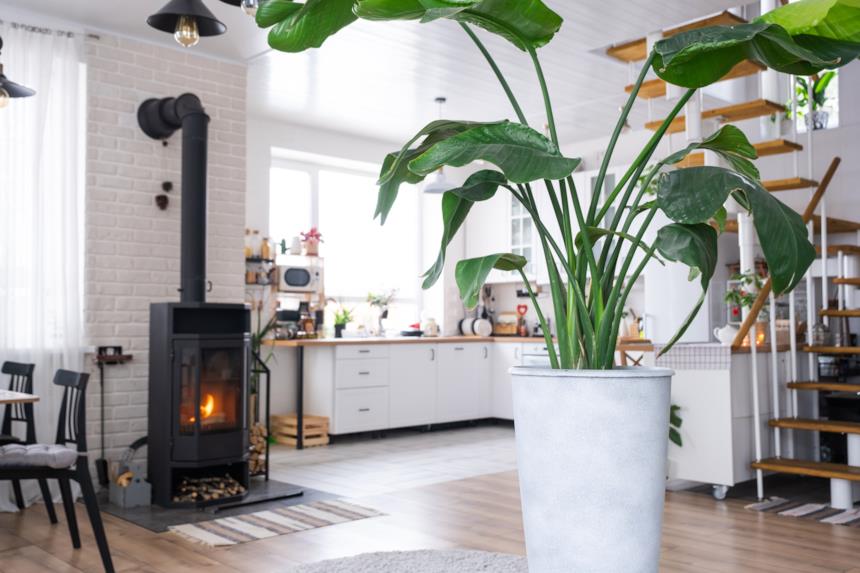 Studa a legna posizionata in cucina