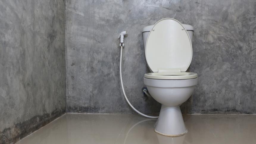 Idroscopino vicino il water