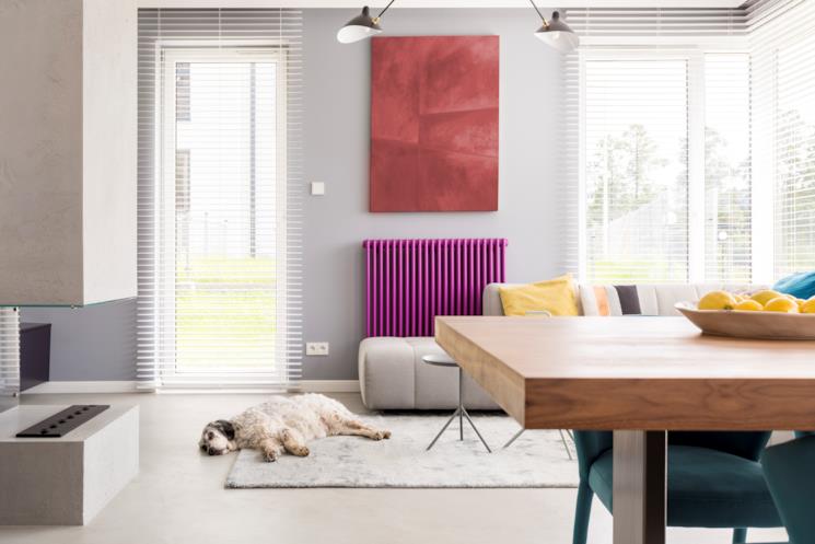 Soggiorno con termosifone viola e cagnolino sdraiato sul tappeto