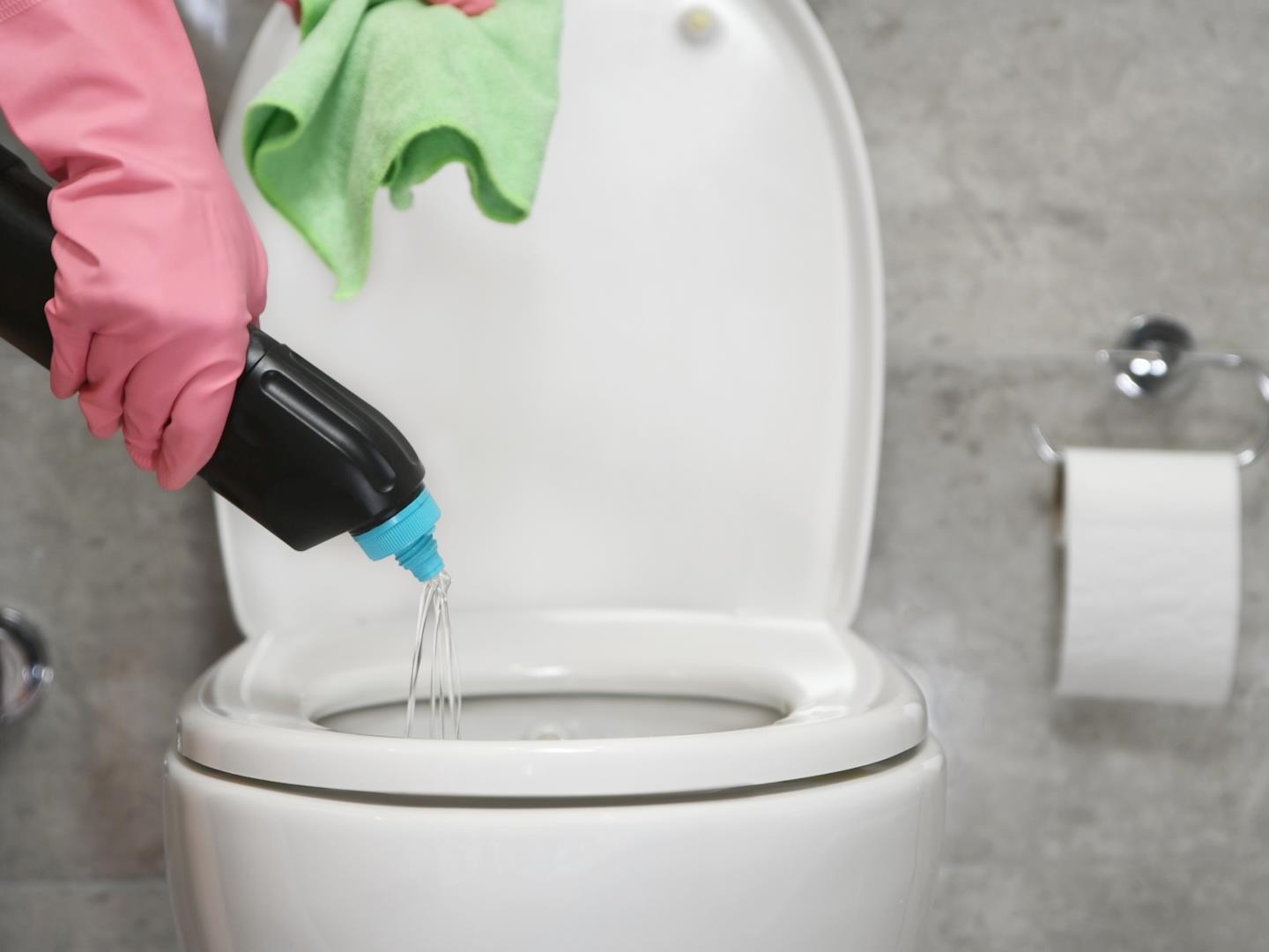 Come disincrostare il wc di casa? Consigli e rimedi green - Rubinetteria  Shop