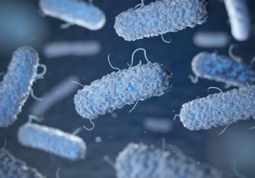 Legionella: che cos’è e come prevenirla in casa