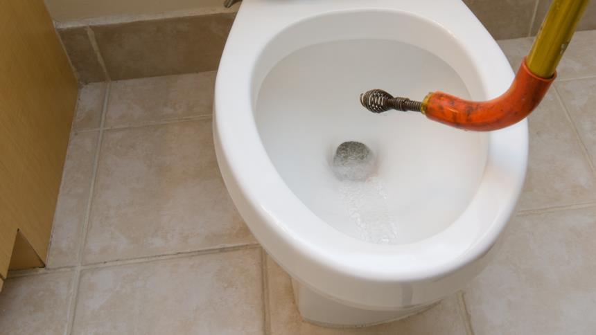 Serpente idraulico introdotto nel water