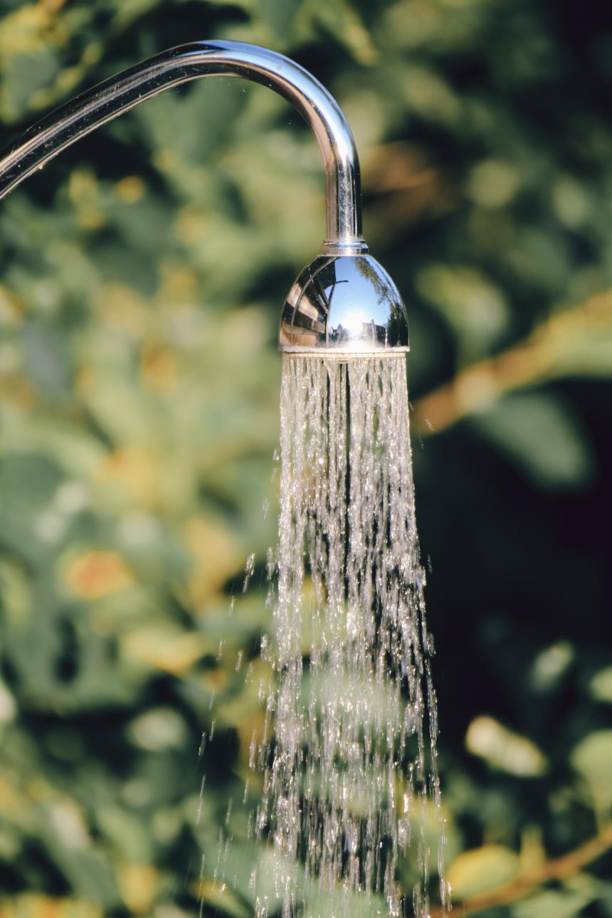 Soffione in funzione nella natura
