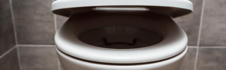 Dettaglio del sedile che si chiuse sul water