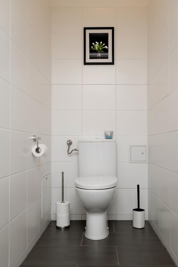 WC monoblocco sovrastato da un quadretto 