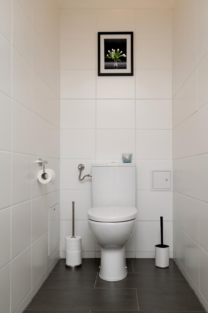 WC monoblocco sovrastato da un quadretto 