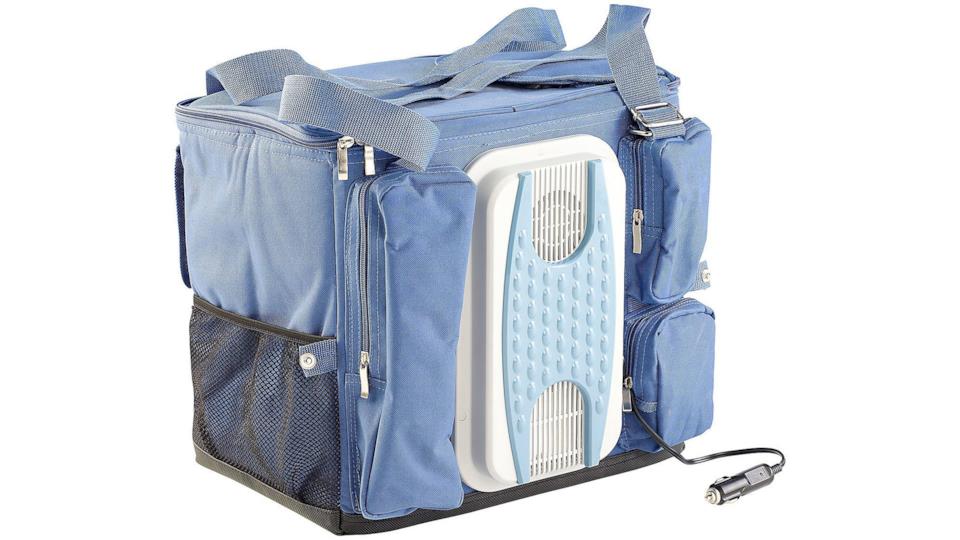 La migliore borsa termica per mantenere il fresco Borsa frigo elettrica: la migliore