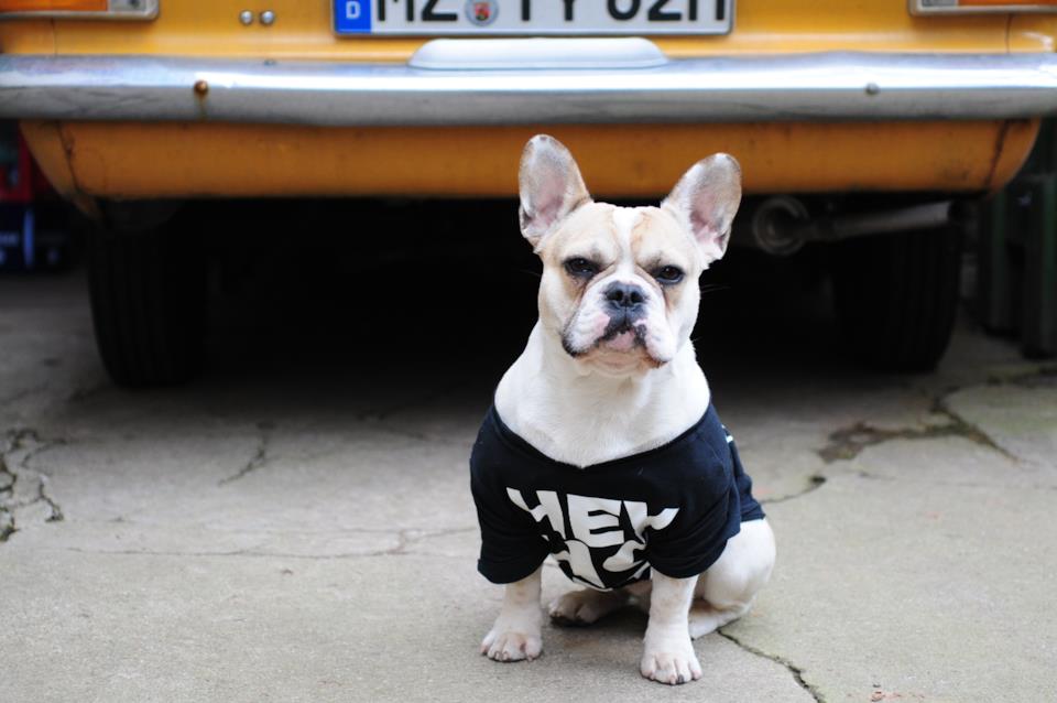 T-Shirt per l'estate 2018: quale scegliere Quale T-Shirt scegliere per l'estate 2018