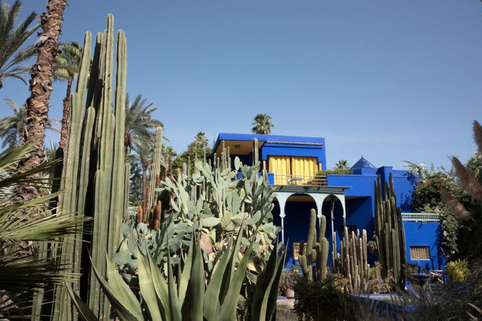 Che cosa vedere in Marocco: i giardini Majorelle a Marrakech I giardini Majorelle a Marrakech in Marocco