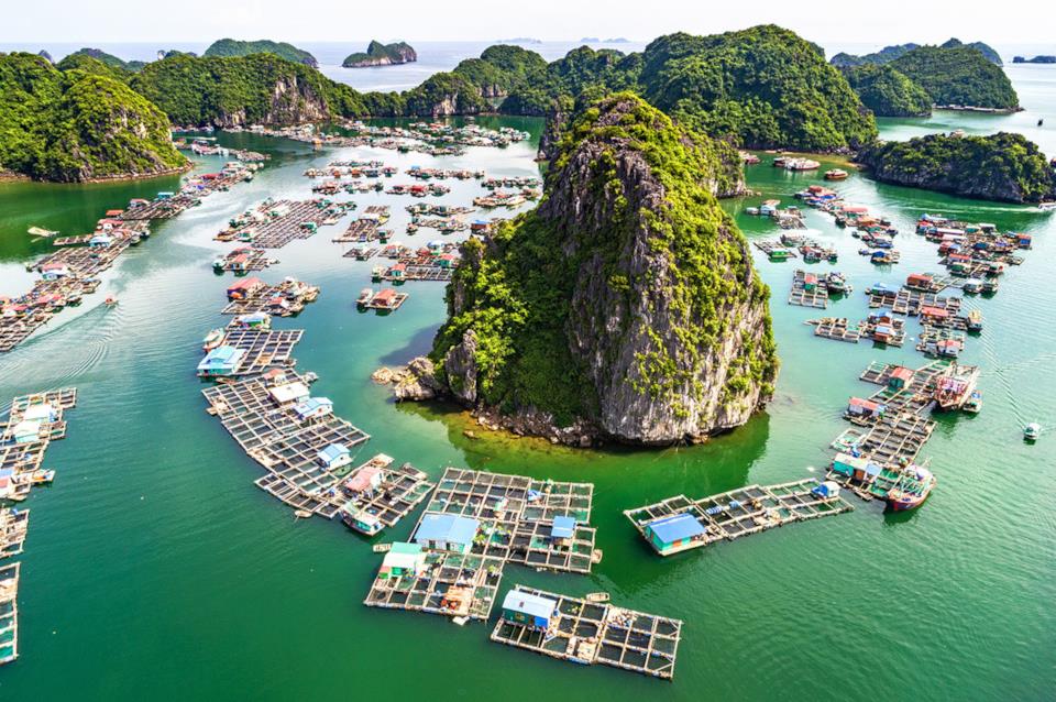 Baia di Halong in Vietnam Halong Bay in Vietnam