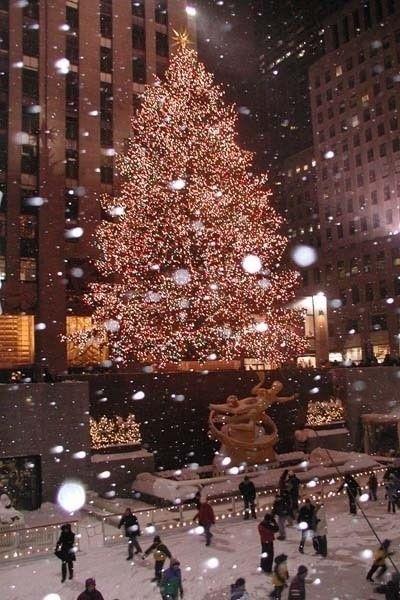 Albero di Natale a New York