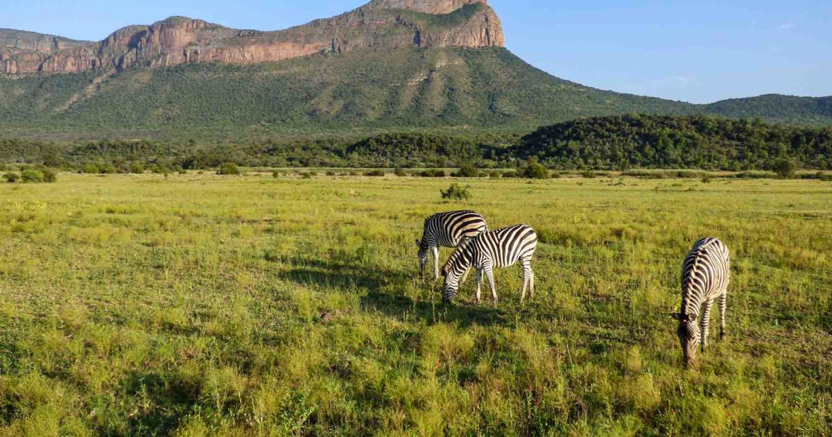 8 destinations in South Africa for wild nature lovers