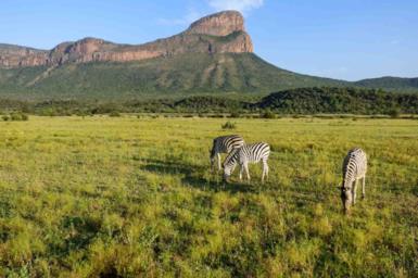 South Africa: the best national parks and private reserves