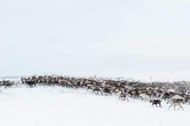Siberia and Trans-Siberian trip, what to see