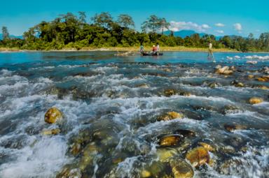 Nature and national parks in India: where to see the wildlife