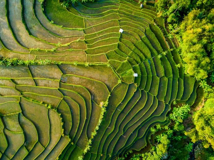 Bandung ricefields from above, Indonesia