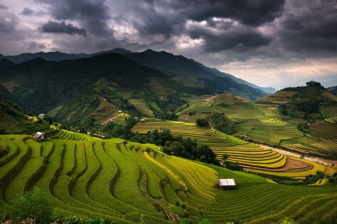 Rice terrace on a cloudy day, Vietnam