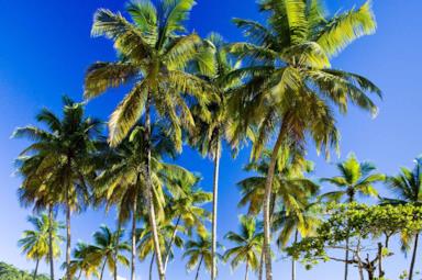 Weather in Cuba: when to travel to the Caribbean island