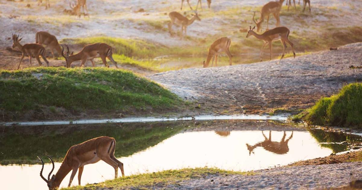 Best time to visit South Africa: travel tips