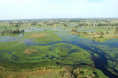 5 things you didn't know about Botswana