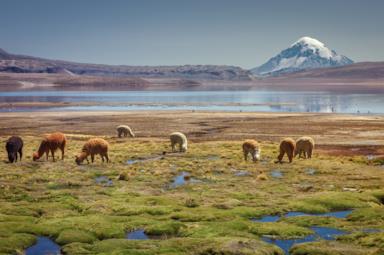 When to go to Chile: tips and useful information on climate