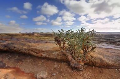 5 things you didn't know about South Africa