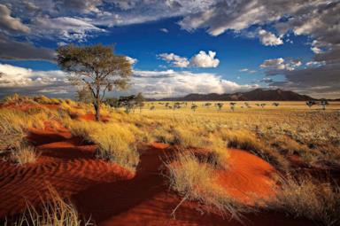 5 things you didn't know about Namibia