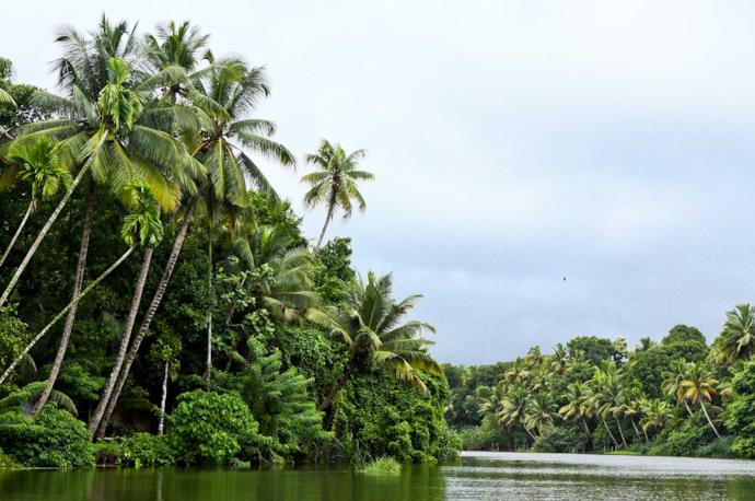 Kumarakom, Kerala
