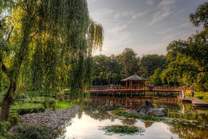 I Giardini più belli d'Europa, Japanese Garden, Breslavia, Polonia