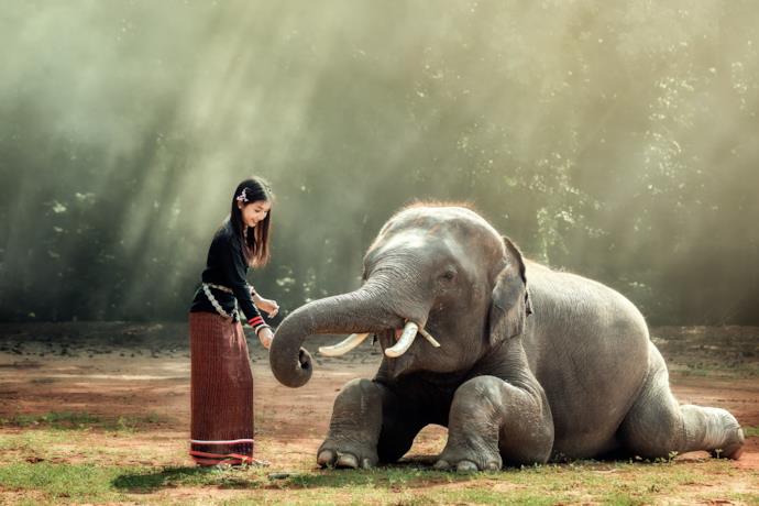 Ragazza in Myanmar con un elefante