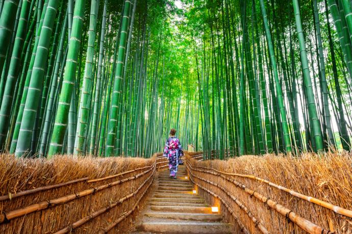 Una donna in kimono tra i bambù di Arashyiama