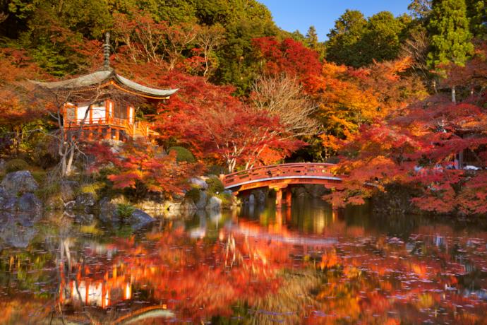 Tempio di Kyoto immerso nella magia dei colori autunnali
