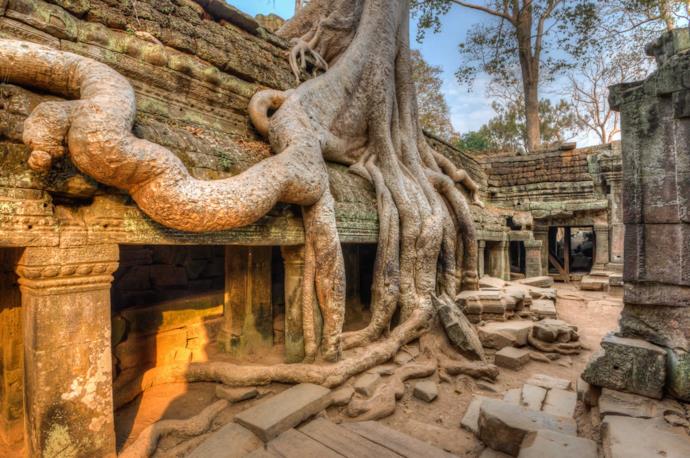 Tempio di Ta Prohm a Siem Reap in Cambogia
