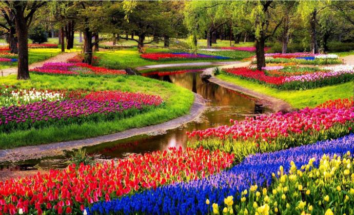 I giardini più belli d'Europa, Giardino di Keukenhof, Lisse, Paesi Bassi