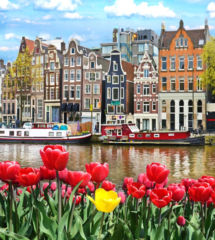 vista sull'acqua, tulipani, barche e colorate tipiche case olandesi